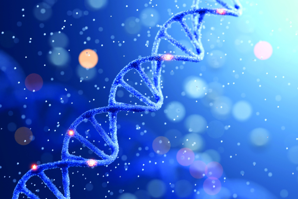 shutterstock_2430544819_L.jpg shutterstock_2430544819_L.jpg